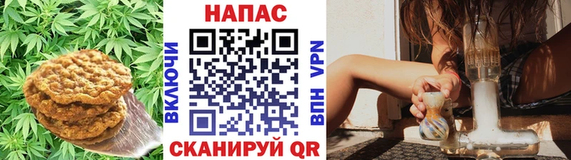 Еда ТГК конопля  закладки  Солнечногорск 