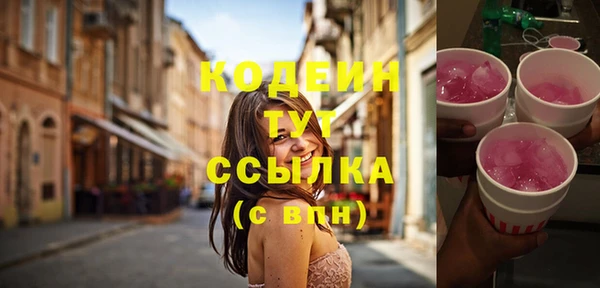 прущие грибы Алзамай
