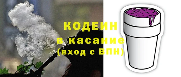 прущие грибы Алзамай