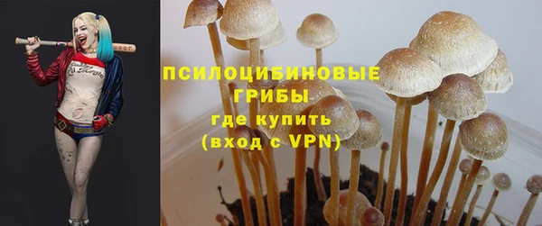 прущие грибы Алзамай
