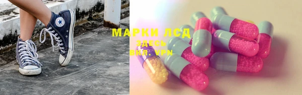 apvp Алексин