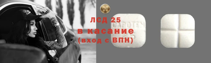 apvp Алексин