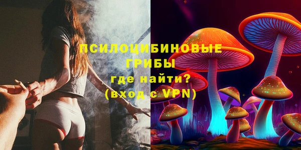 прущие грибы Алзамай