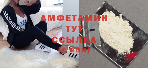 прущие грибы Алзамай