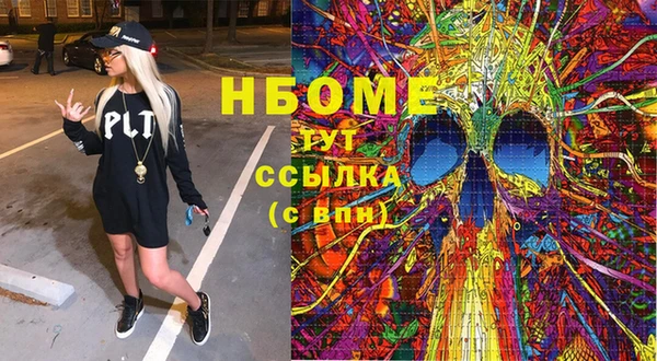 прущие грибы Алзамай